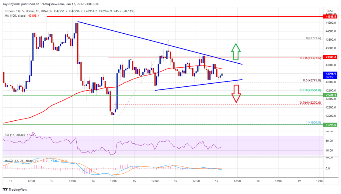 bitcoin btc fiyat analizi 43 500 dolarin uzerinde bir kirilim neden onemli 6