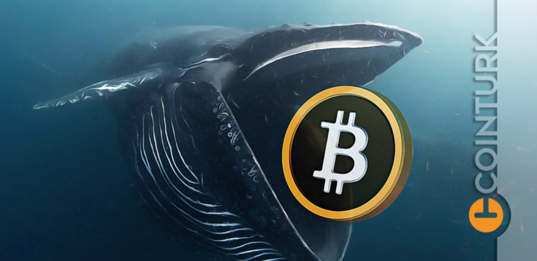 bitcoin-fiyati-kritik-seviyedeyken-balinalar-nasil-bir-yol-izliyor - Crypto Turkey Bitcoin Fiyatı Kritik Seviyedeyken Balinalar Nasıl Bir Yol İzliyor?