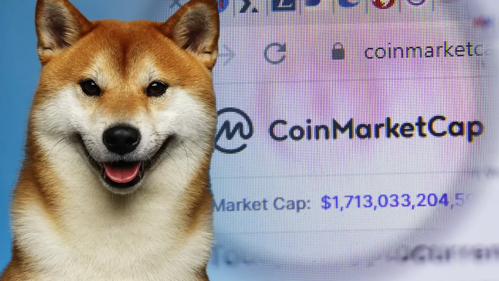 CoinMarketCap’ten Shiba Inu Topluluğuna Yeşil Işık!