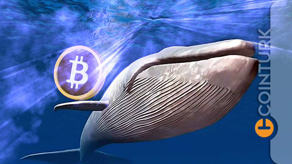 Dev Balinalar, Düşüş Sırasında Bitcoin Aldı: İşlem Detayları