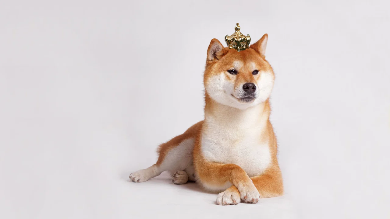 DOGE ve SHIB Çöktü: Bu 4 Meme Coin ise Tahtada Uçuyor!