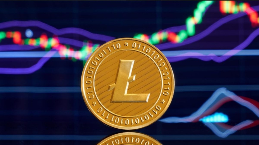 Litecoin (LTC) Balinaları 2017’den Beri Birikim Yapıyor