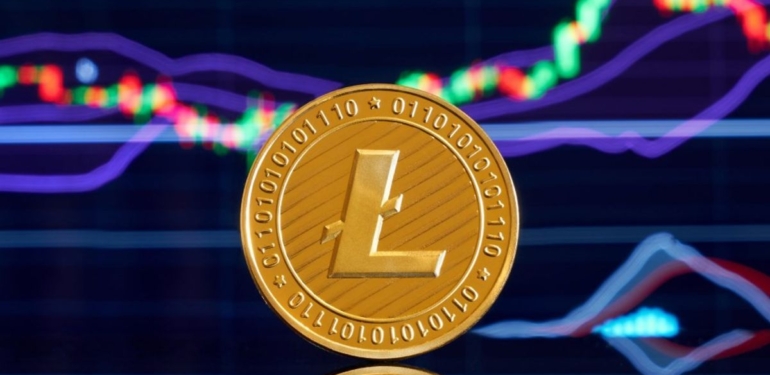 litecoin-ltc-balinalari-2017-den-beri-birikim-yapiyor - Crypto Turkey Litecoin (LTC) Balinaları 2017’den Beri Birikim Yapıyor