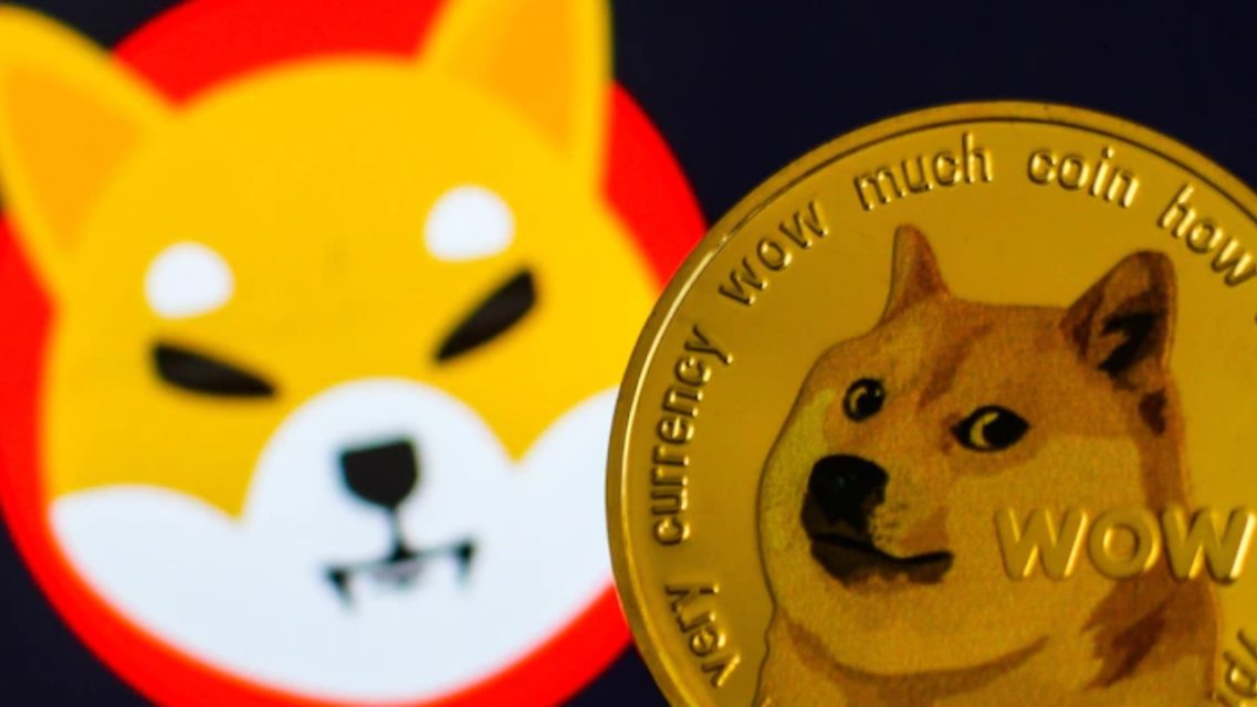 dogecoin shiba