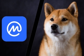 SHIB, CoinMarketCap’i “3 Sahte Sözleşme Adresi” Listelemekle Suçladı