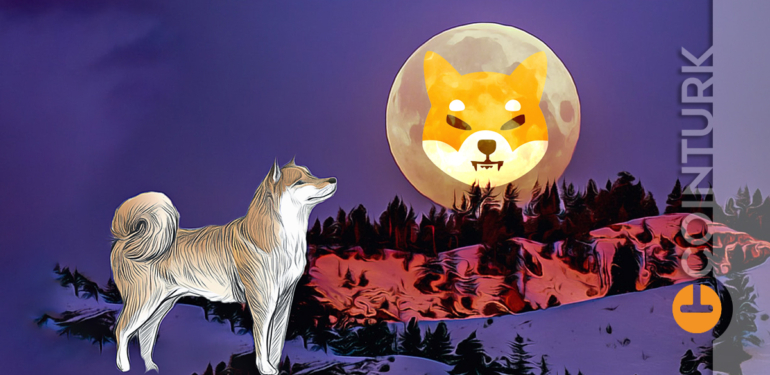 shiba-coin-yukselir-mi-shiba-hedef-fiyat-ve-analist-yorumlari - Crypto Turkey Shiba Coin Yükselir Mi? Shiba Hedef Fiyat ve Analist Yorumları