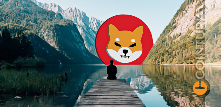 shiba-inu-shib-ilgisi-artiyor-ama-yatirimcilar-dikkatli-olmali - Crypto Turkey Shiba Inu (SHIB) İlgisi Artıyor Ama Yatırımcılar Dikkatli Olmalı!