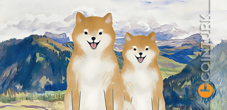 Shiba Inu (SHIB) Ne Olur? Dogecoin (DOGE) Benzeri Coin’ler Hangileri?