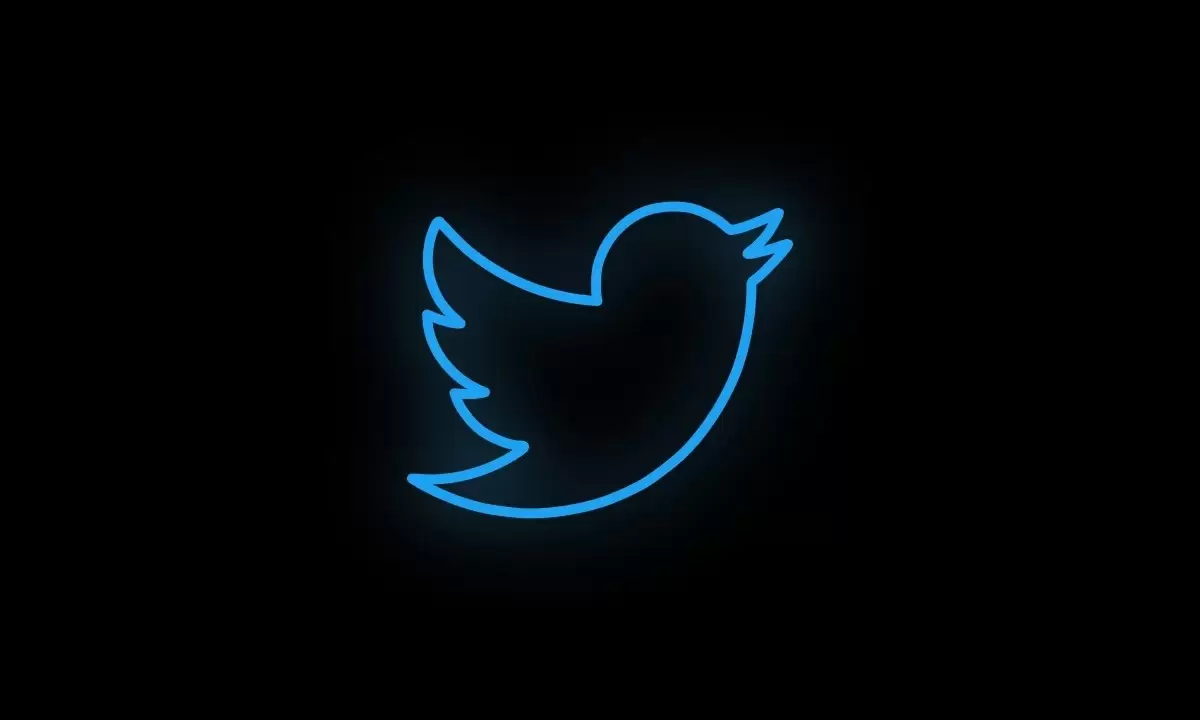SICAK GELİŞME: Twitter, NFT Entegrasyonunu Başlattı!