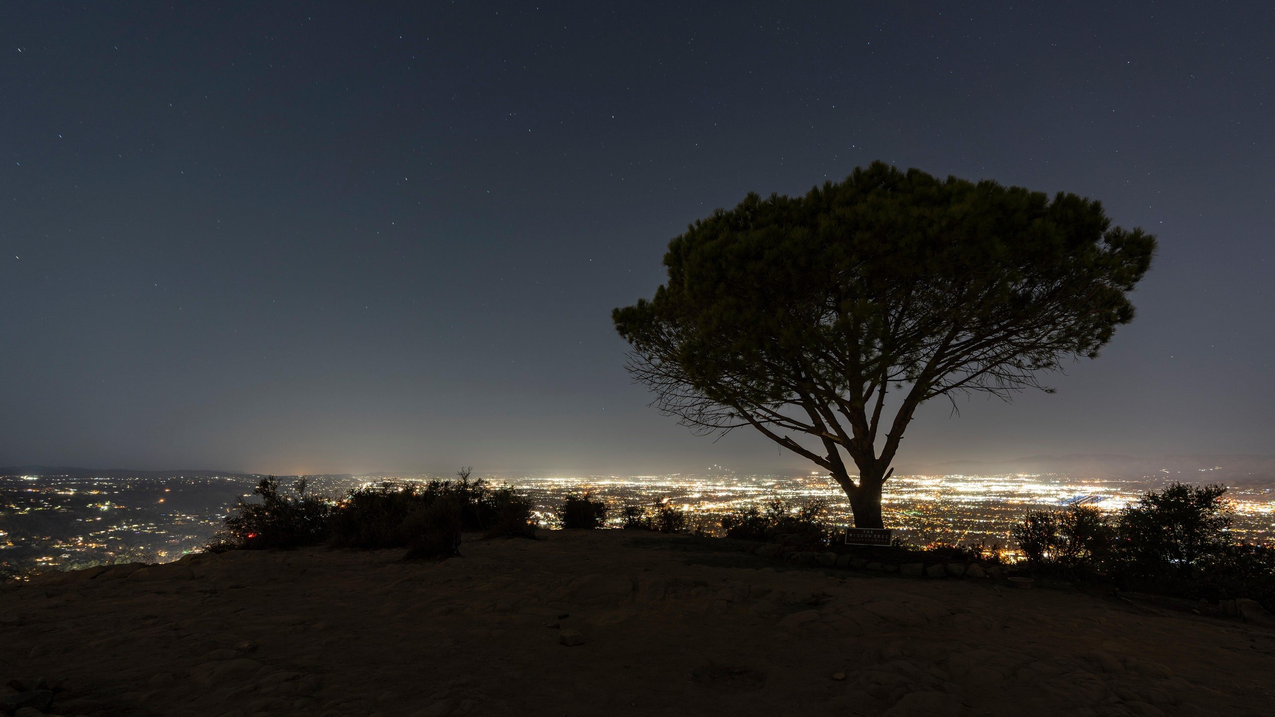 WisdomTree, Kripto Uygulaması Geliştiriyor