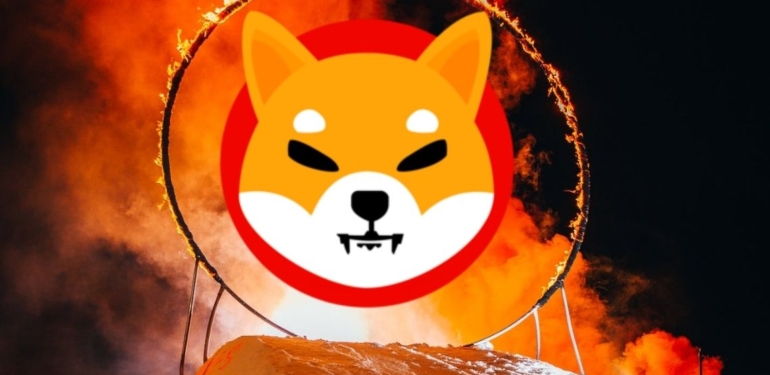 15,43 Milyon Shiba Inu (SHIB) Token Yakıldı