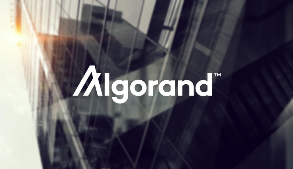 Algorand Vakfı, JPMorgan Eski Yöneticisini CEO Olarak Atadı