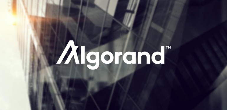 Algorand Vakfı, JPMorgan Eski Yöneticisini CEO Olarak Atadı