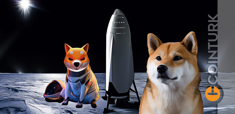 Baby Dogecoin, Kishu Coin ve Meme Coinlerde Son Durum!