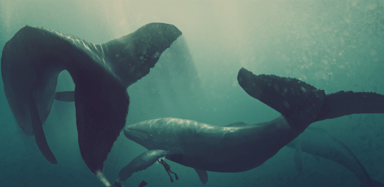 Balinalar Harekete Geçti: Bu 18 Altcoin Toplanıyor!