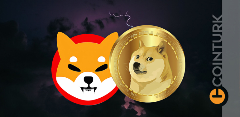 balinalarin-biriktirdigi-10-altcoin-bu-ay-ne-kadar-shiba-coin-yakildi - Crypto Turkey Balinaların Biriktirdiği 10 Altcoin! Bu Ay Ne Kadar Shiba Coin Yakıldı?
