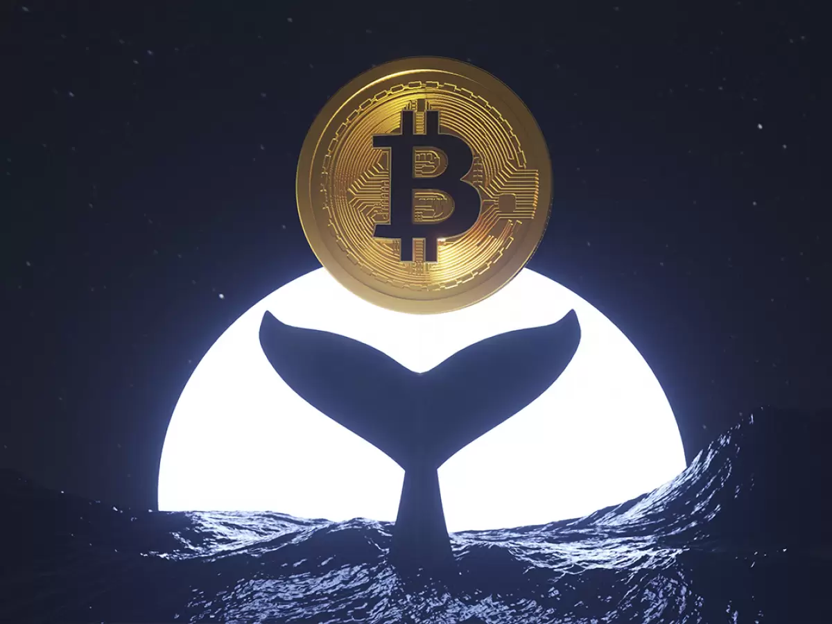 Bitcoin Balinası 158 Milyon Dolarlık BTC’yi Kripto Para Borsasına Taşıdı!