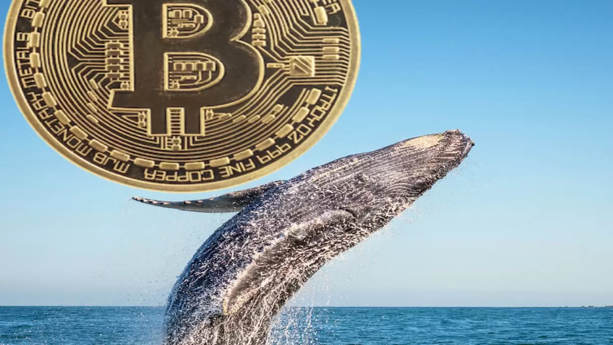 Bitcoin (BTC) Balinalarının Hiddeti Artıyor: Yarım Milyar Dolarlık İşlem Yapıldı!