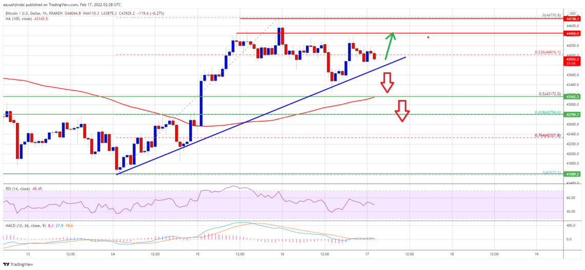 bitcoin btc fiyat analizi 45 000 dolar altinda sikisti sirada ne var 17 subat 2022 5