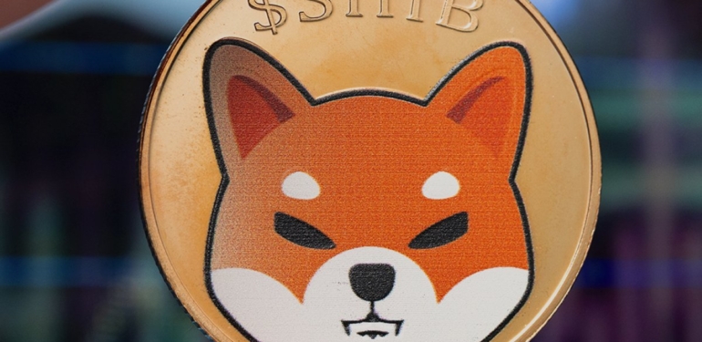 bnb-balinalari-shiba-inu-shib-almaya-devam-ediyor - Crypto Turkey BNB Balinaları Shiba Inu (SHIB) Almaya Devam Ediyor