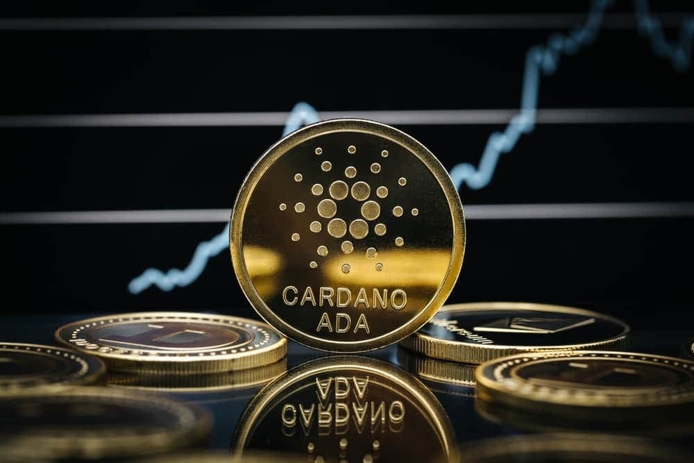 Cardano (ADA) Balinaları Ocak Ayında Varlıklarını %40 Arttırdı