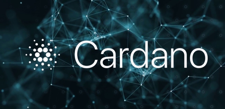 Cardano Vakfı’nın Yönetim Kuruluna Deneyimli Bir Üye Katıldı