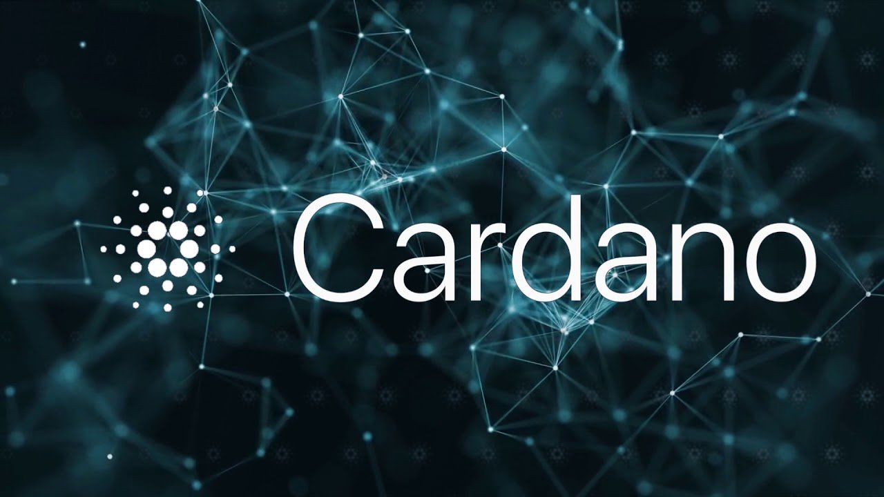 Cardano Vakfı’nın Yönetim Kuruluna Deneyimli Bir Üye Katıldı