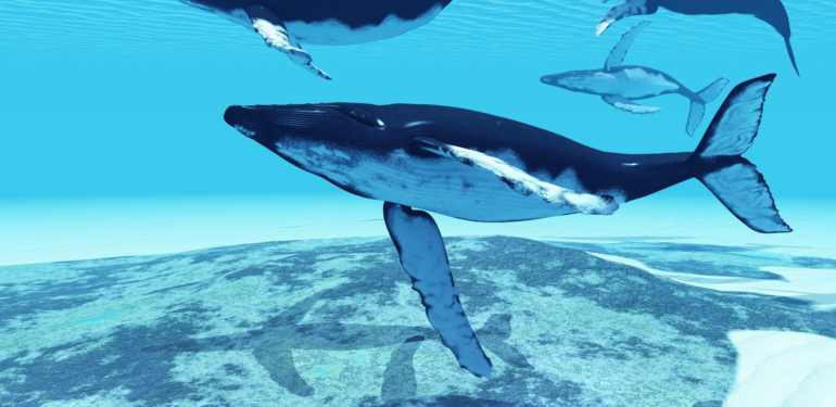 Devasa BSC Balinaları SHIB Değil: Bu Meme Coin’den Alıyor!