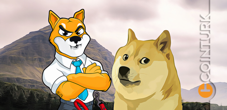 Dogecoin ve Shiba Inu Kaç TL? DOGE ve SHIB TL Bazında ATH Seviyeleri!