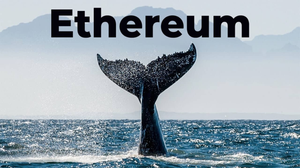 Ethereum (ETH) Balinaları Ne Kadar ETH Tutuyor?