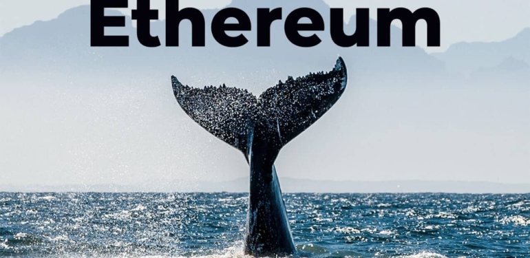 Ethereum (ETH) Balinaları Ne Kadar ETH Tutuyor?