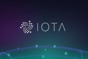 IOTA Coin Nedir? IOTA Coin Yorum ve Geleceği