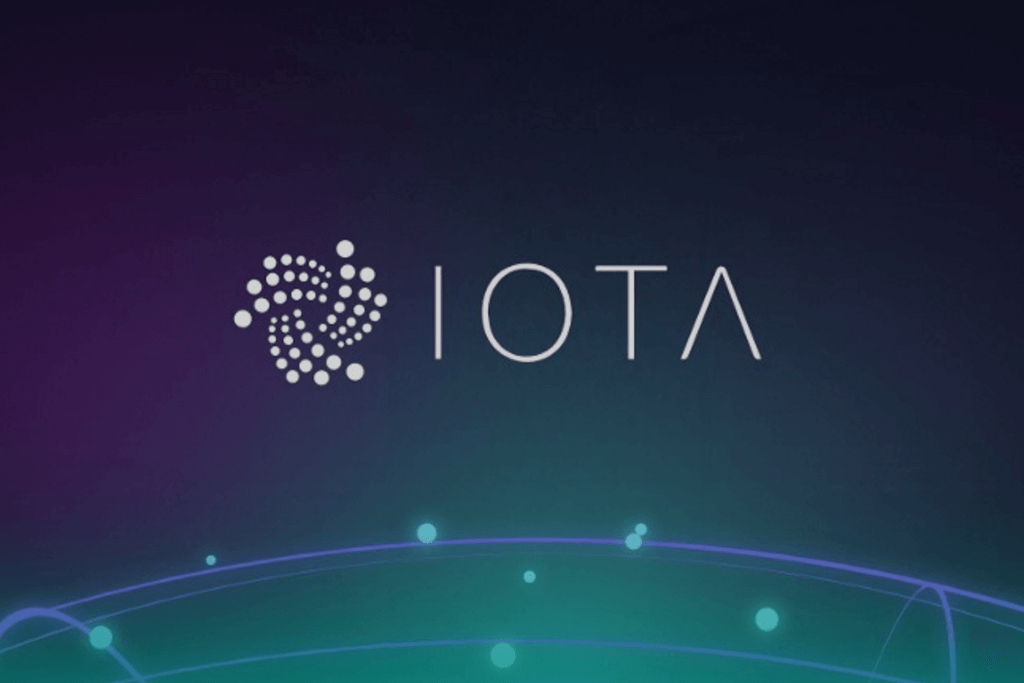 IOTA Coin Nedir? IOTA Coin Yorum ve Geleceği