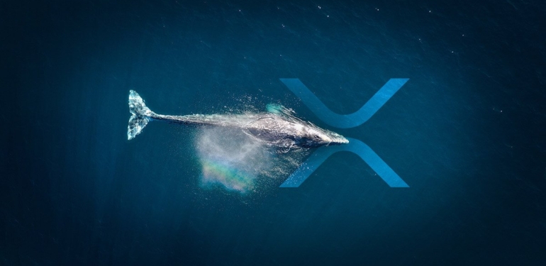 Kripto Balinası, 120 Milyon XRP’yi Özel Cüzdana Taşıdı