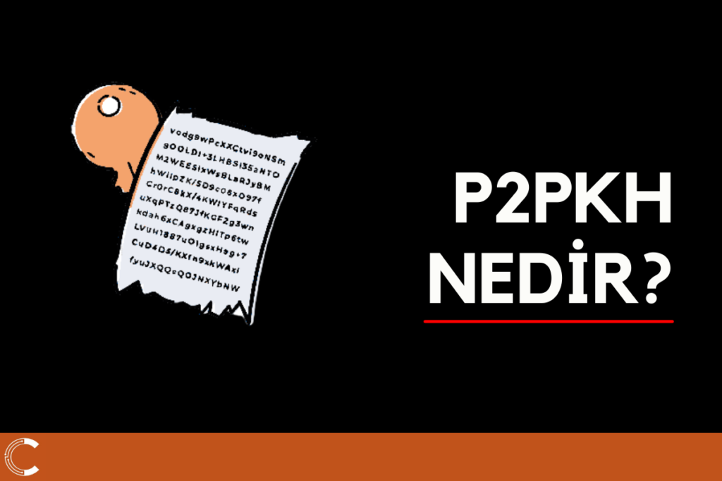 Pay to Public Key Hash (P2PKH) Nedir? P2PKH Ne iş Yarar?