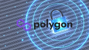 Polygon (MATIC) Ağında Kritik Bir Açık Bulan Hacker’a 75.000 Dolar Ödül Verildi