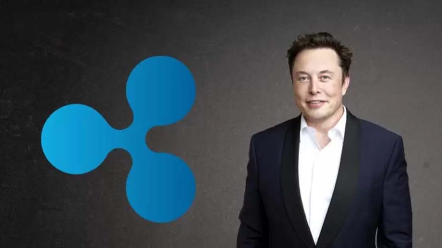 Ripple Topluluğu Elon Musk’tan Destek İstedi