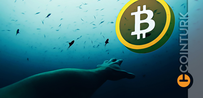 Saatler Kaldı! Bitcoin (BTC) ve Altcoinler Aniden Düşebilir!