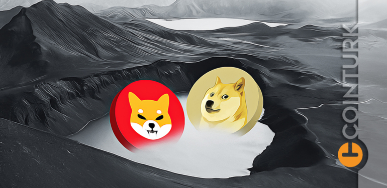 Shiba Coin Yorumları! Dogecoin Analist Yorumları!