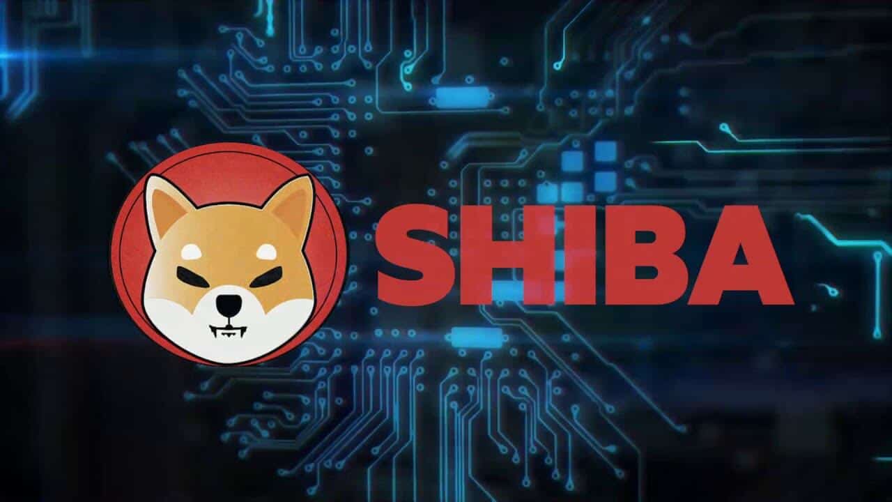 Shiba Inu (SHIB) Balina Tarafından En Çok Tutulan Token Oldu