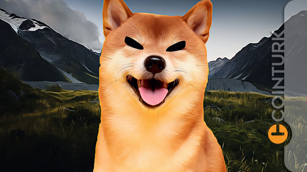 Shiba Inu (SHIB) Yine Token Yakımı Gerçekleştirdi: Yakın Zamanda Tekrar Yakacak!