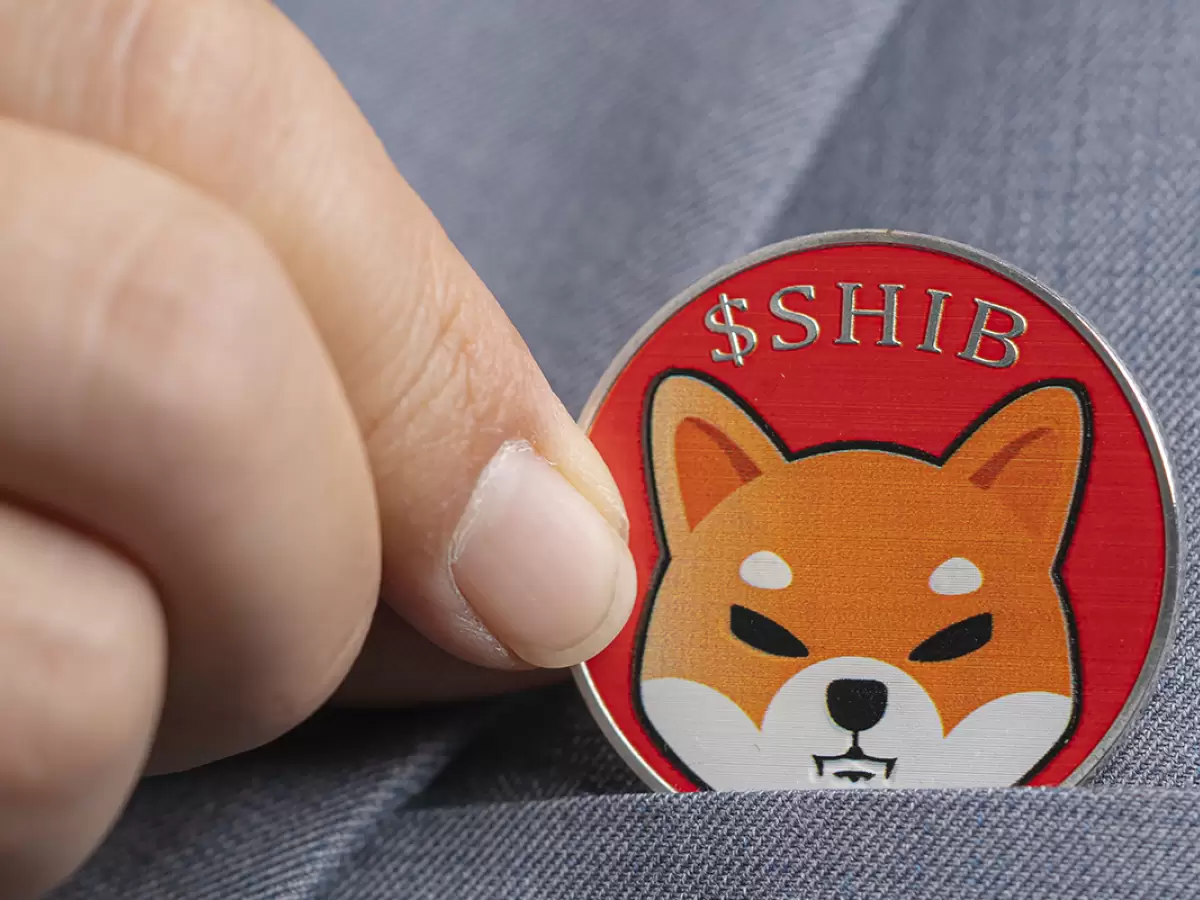 Shiba Inu Yeni İşbirliği Anlaşmasıyla Moda Sektörüne Giriyor!