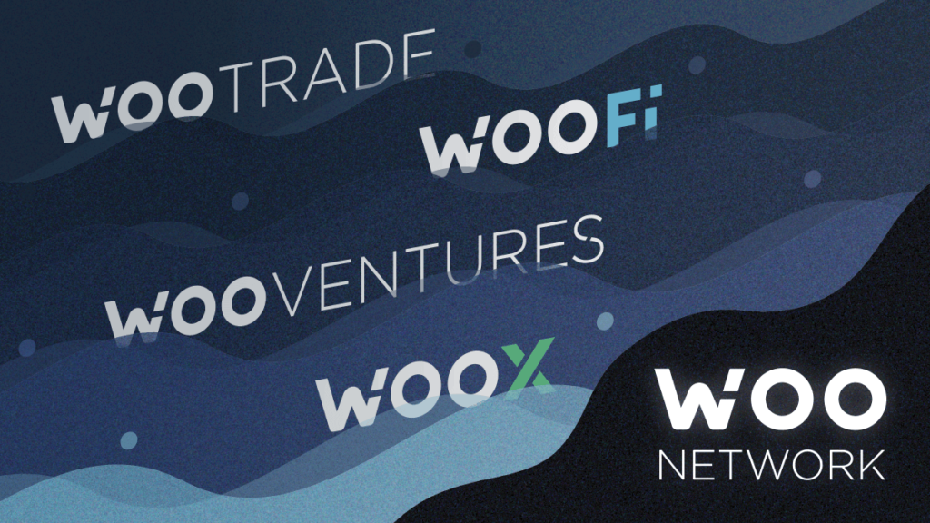 Woo Network Coin Nedir?