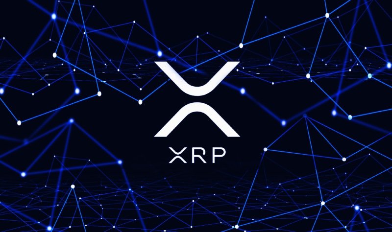 XRP sahipleri büyük airdrop’u beklerken CEO’dan yeni açıklama geldi