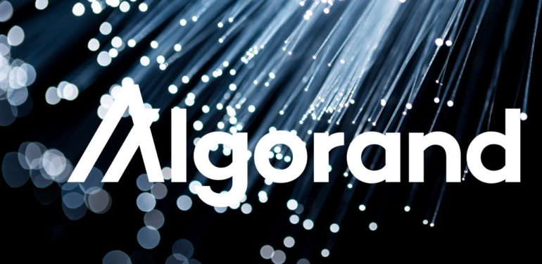 2022’nin Başından Bu Yana Algorand Ağına, 6 Milyondan Fazla Yeni Hesap Eklendi