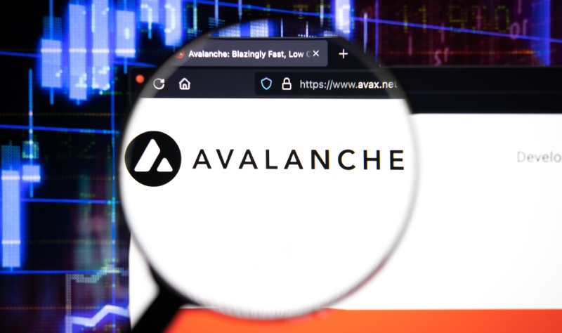 Avalanche Vakfı, 290 milyon dolarlık teşvik programı duyurdu