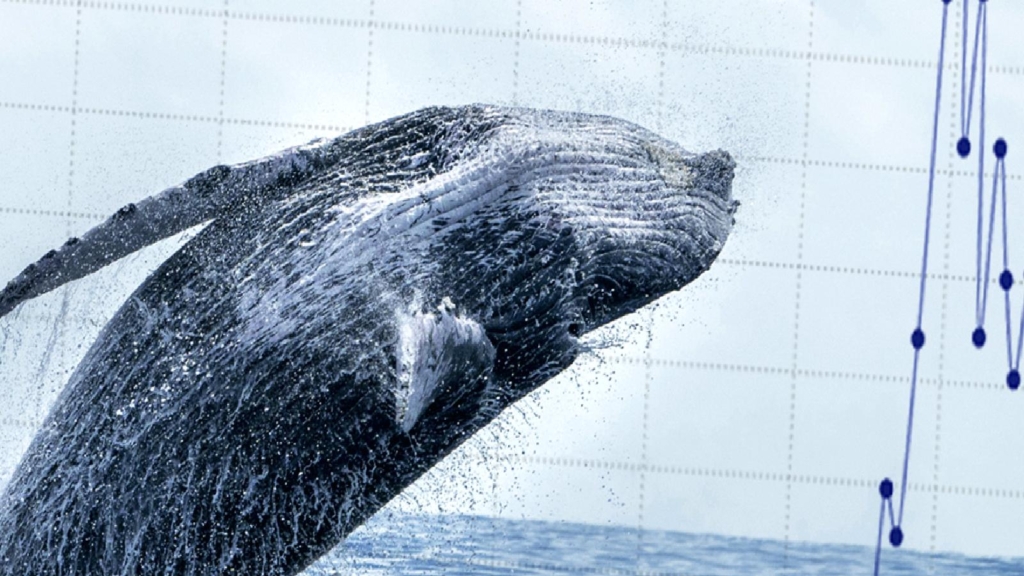 Bakın Balinalar Bugün Hangi Altcoin’lerde Satış Yapıyor!