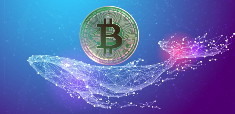 balinalar-harekete-gecti-bitcoin-ler-borsalardan-cikiyor - Crypto Turkey Balinalar Harekete Geçti: Bitcoin’ler Borsalardan Çıkıyor!