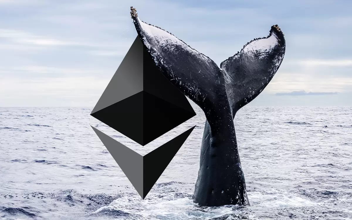 Balinalar Piyasadan Ethereum Toplamaya Devam Ediyor! Veriler Ne Anlatıyor?