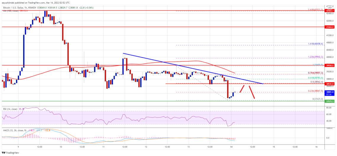 bitcoin btc fiyat analizi 40 000 dolarin altinda mucadele etmeye devam ediyor onemli seviyeler neler 14 mart 2022 r